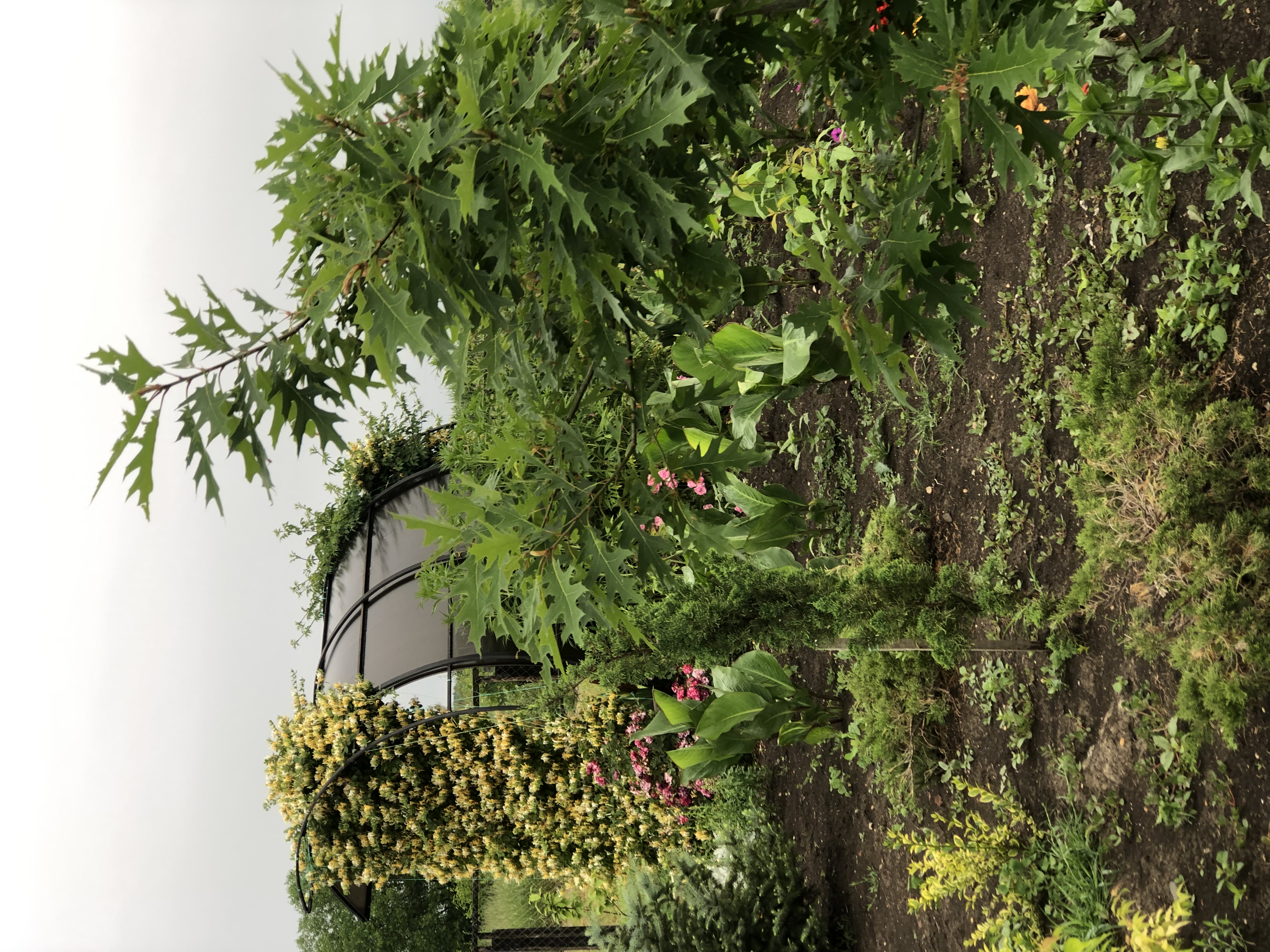 Фото Аква Тоника