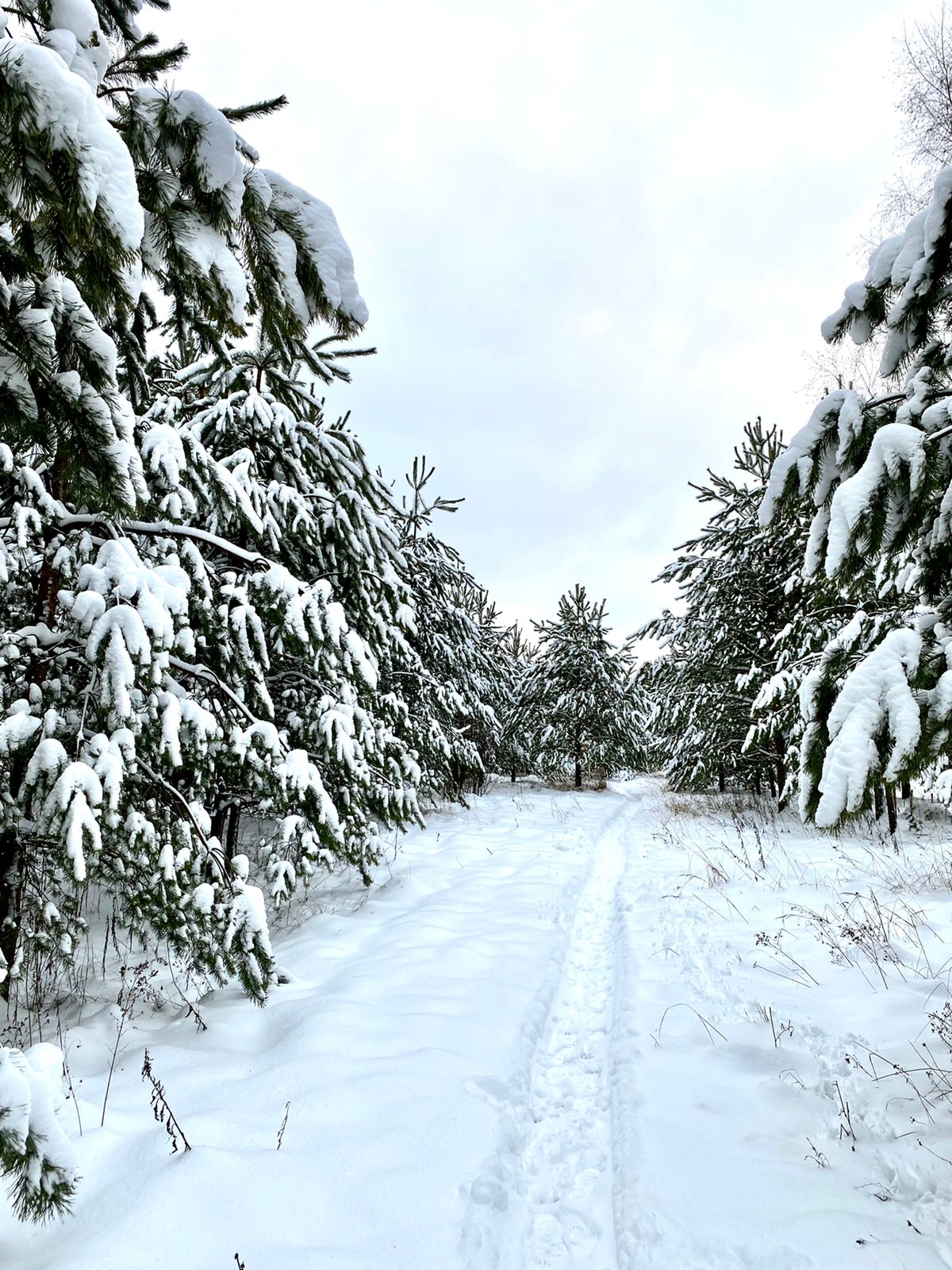 Фото Petra eco village
