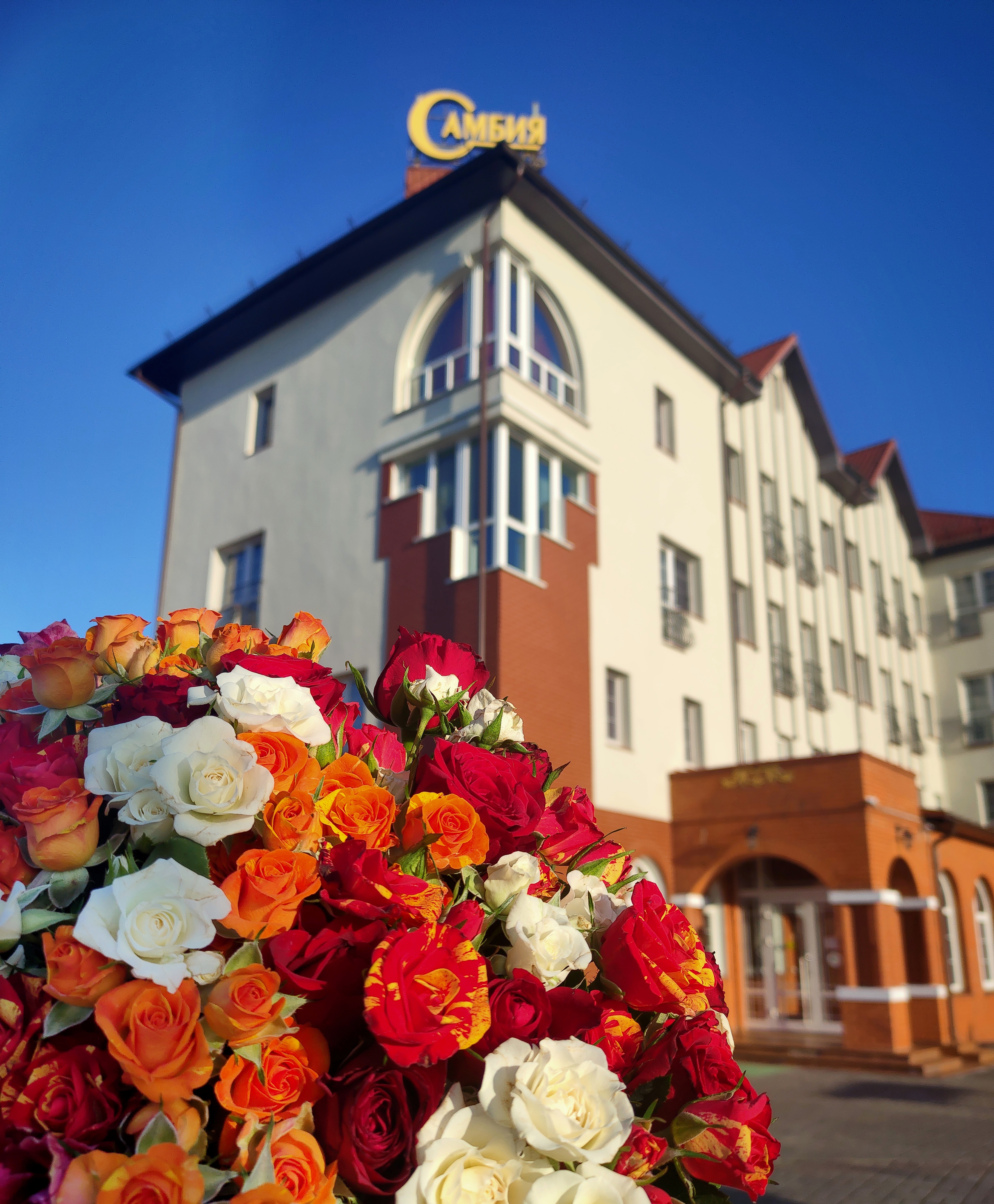 Фото Самбия