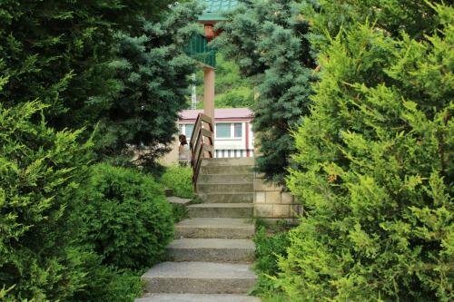 Гостиница Dream House Hotel в Колашине