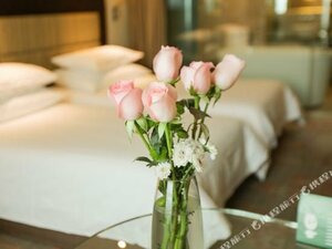 Гостиница Poly Hotel