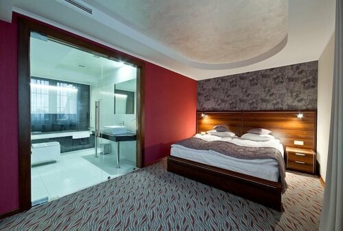 Гостиница Artis Hotel & Spa в Замосьце
