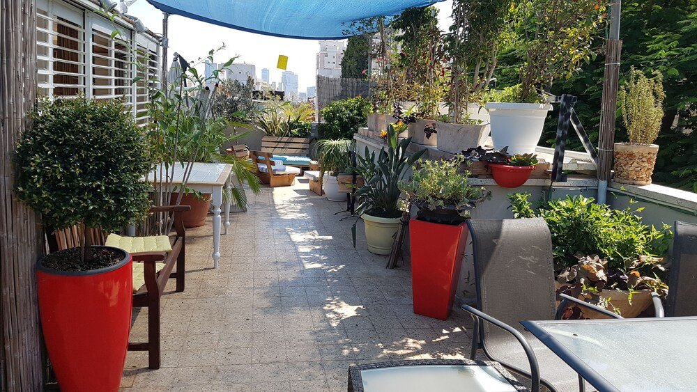 Фото Green Leaves Tlv