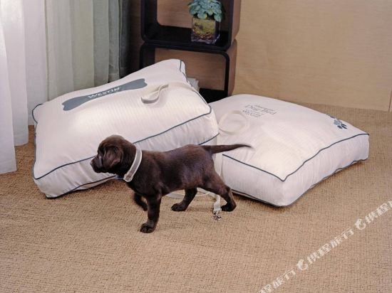 Фото The Westin Houston Downtown