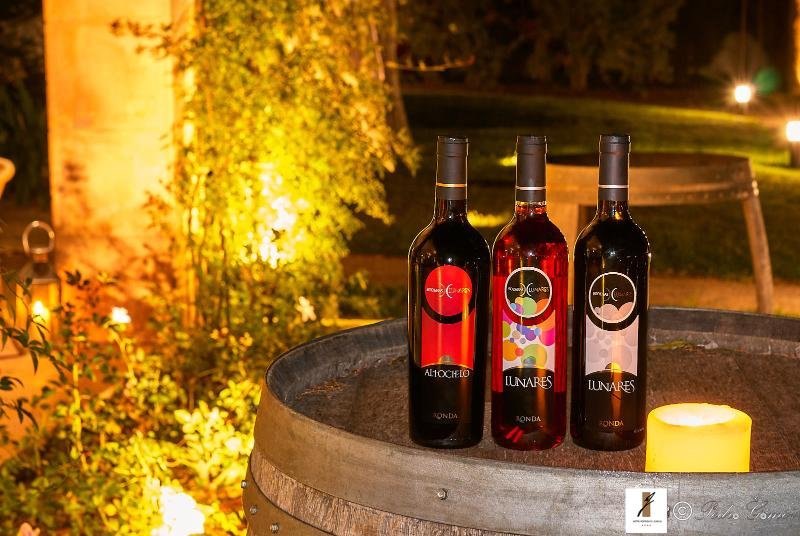 Фото Hotel Bodega El Juncal