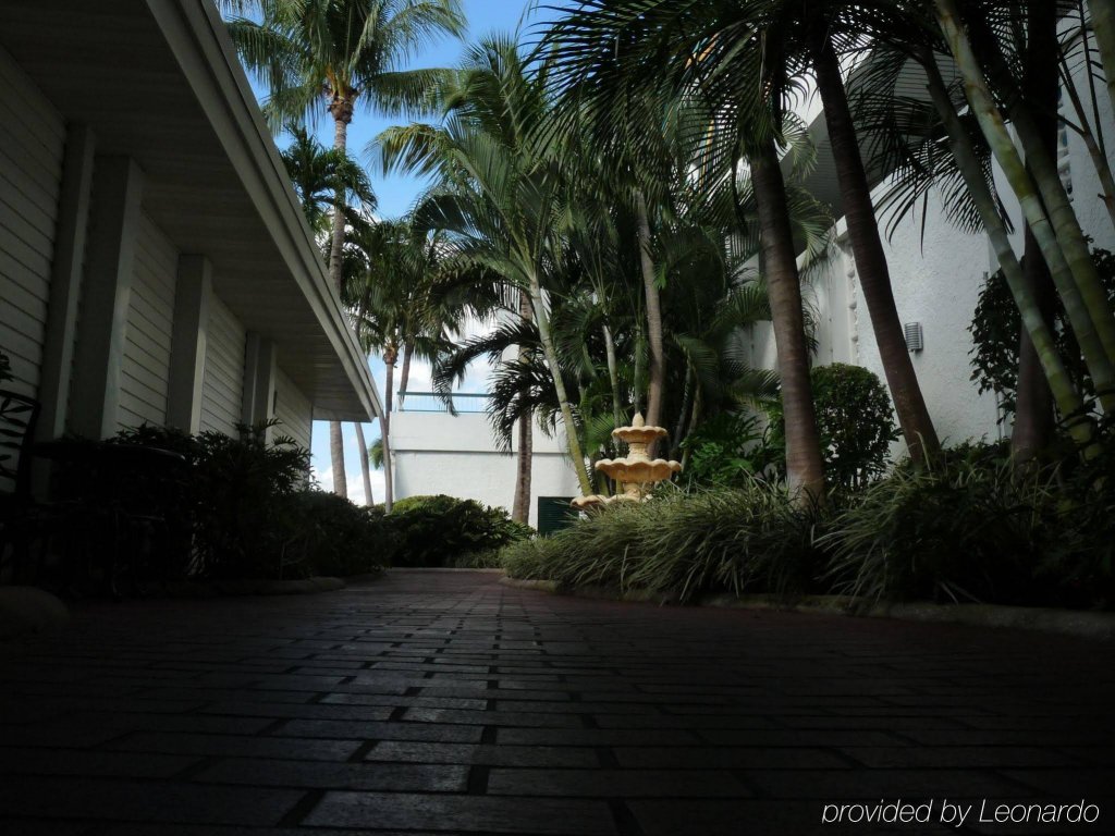 Фото Palm Tree Club Miami Hotel