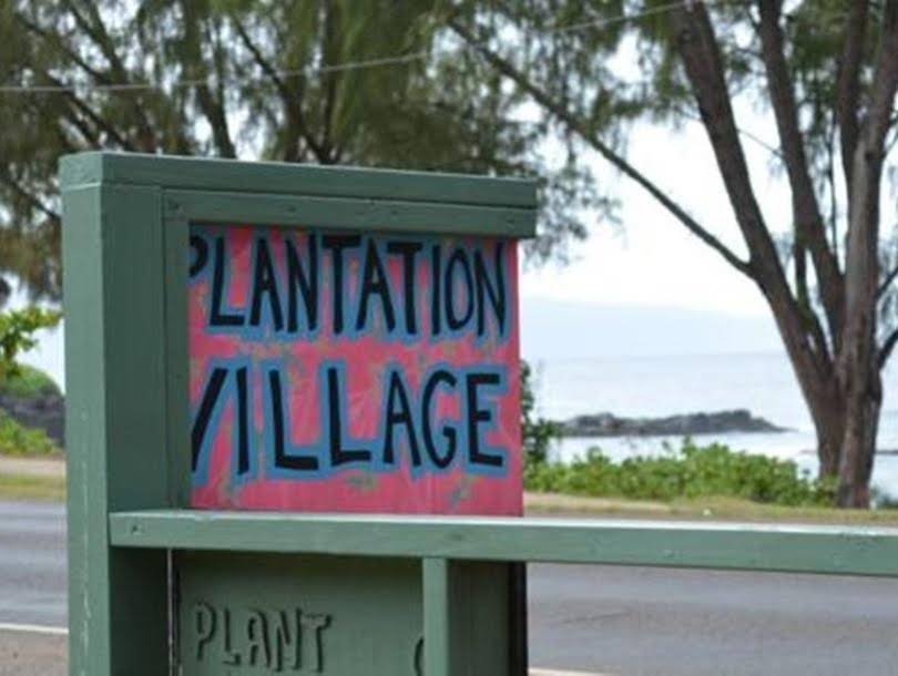 Фото Backpackers Vacation Inn and Hostel