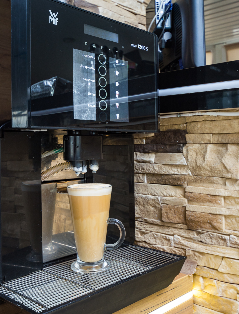 Фото Белый лев