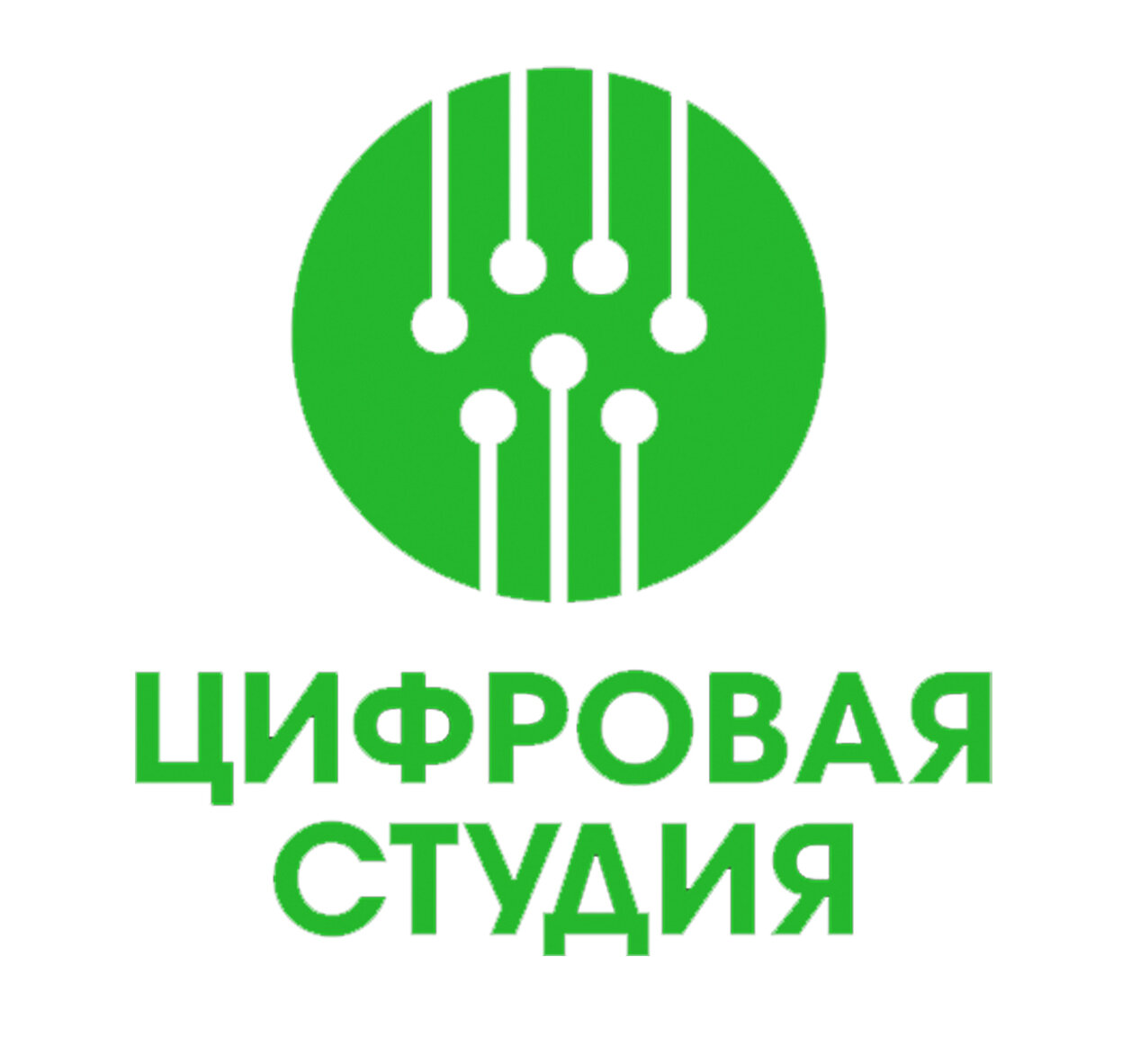 Цифровая студия