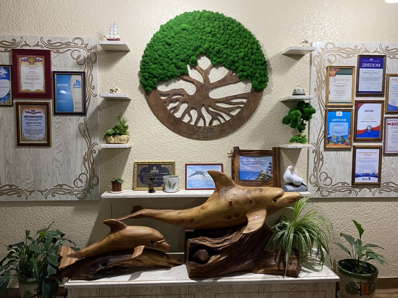 Фото Афалина