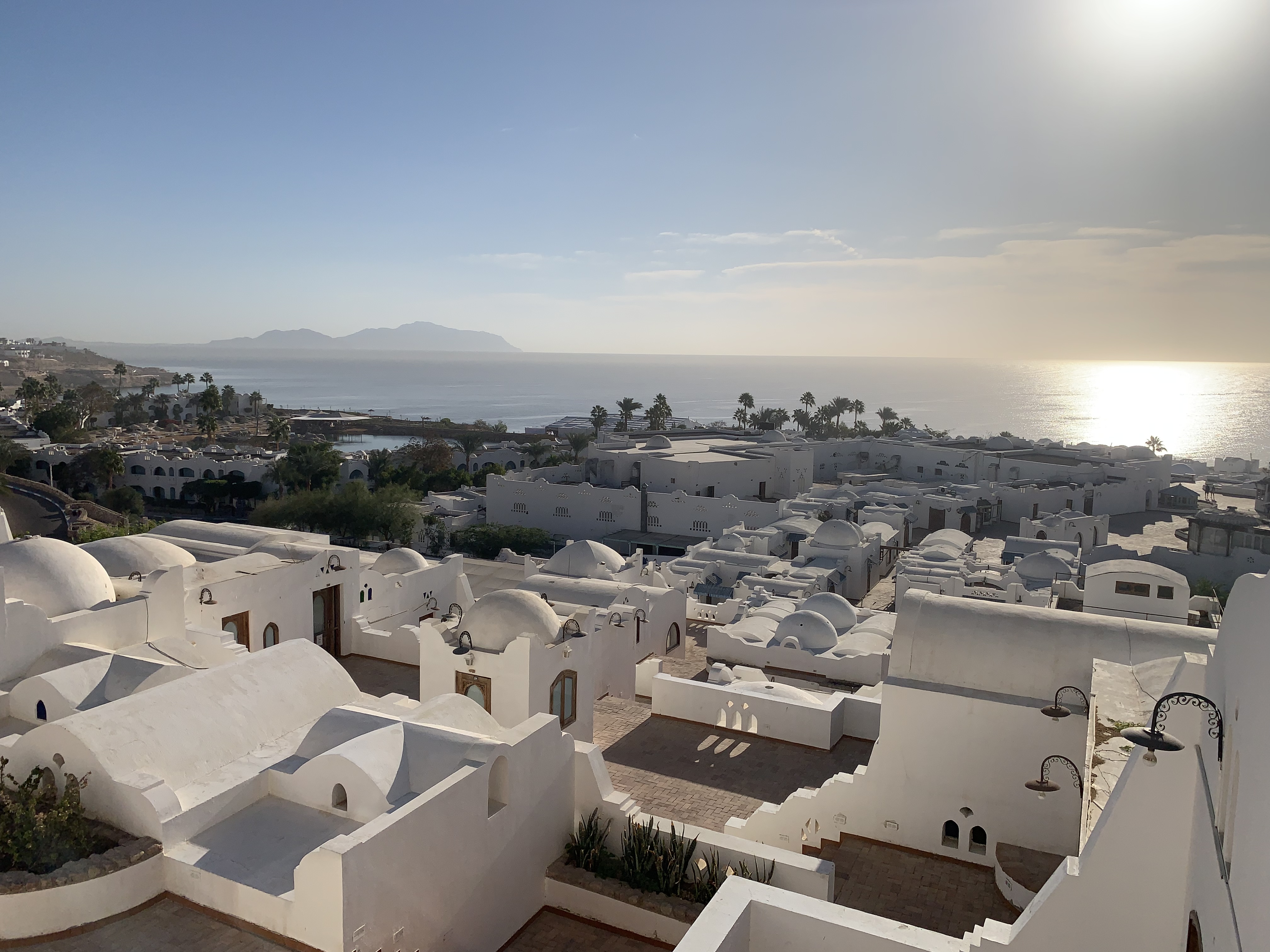 Фото Domina Coral Bay Oasis