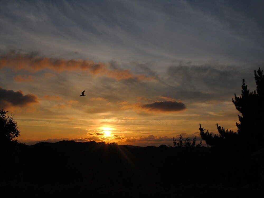 Фото 65 Foxdown Manor