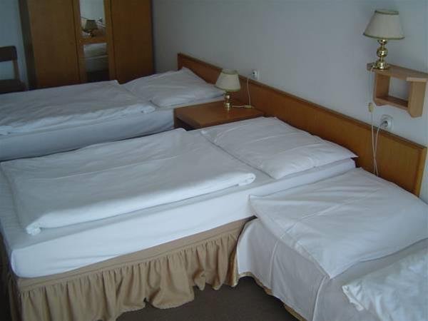 Фото Hotel Medlov Dependance