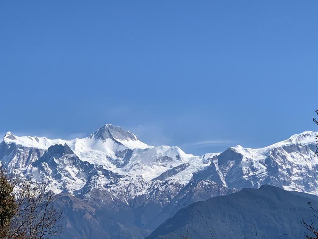 Фото Hotel pristine Himalaya