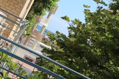 Фото Hotel Holiday