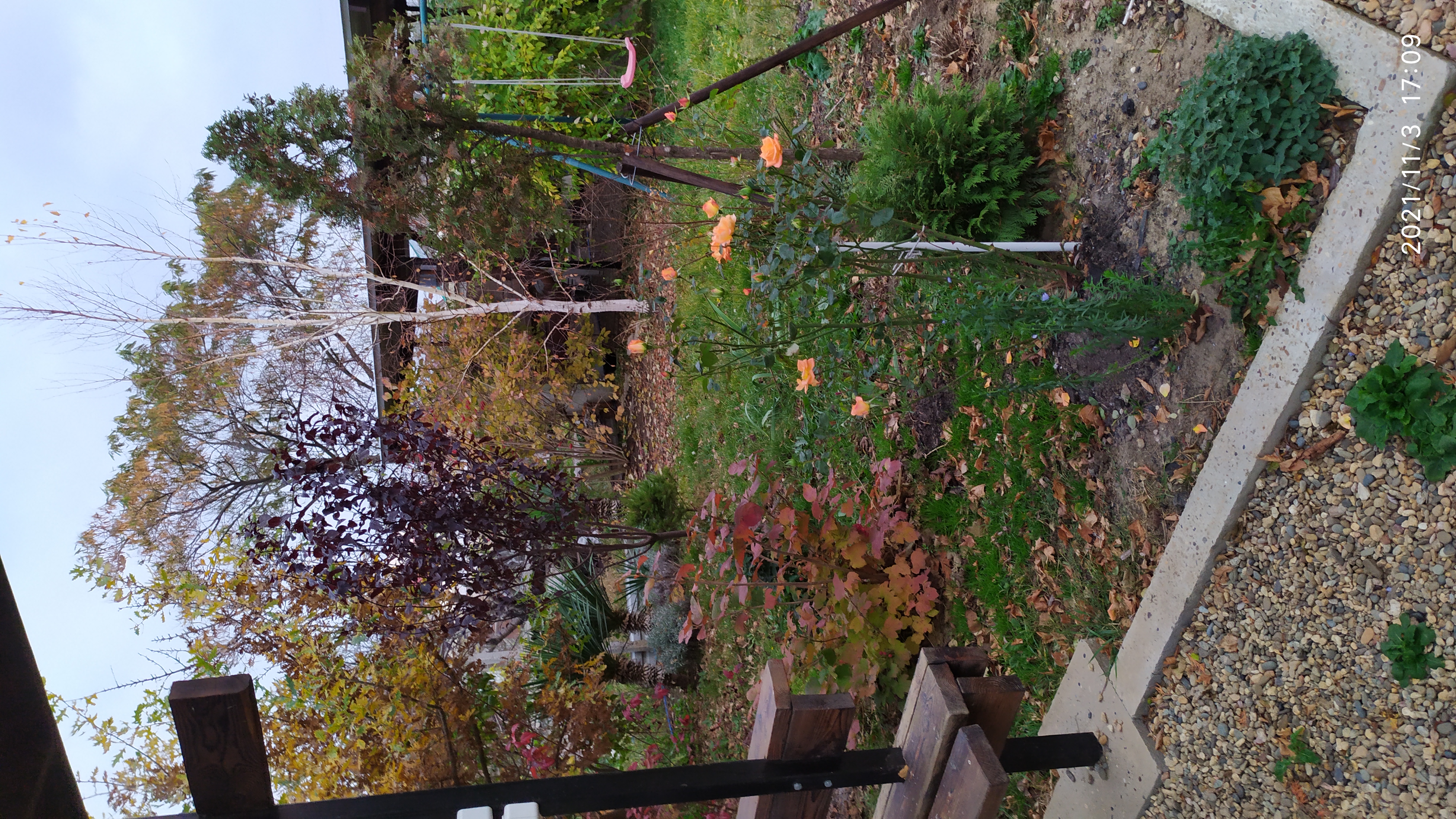 Фото Марианна