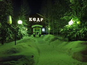 Кедр