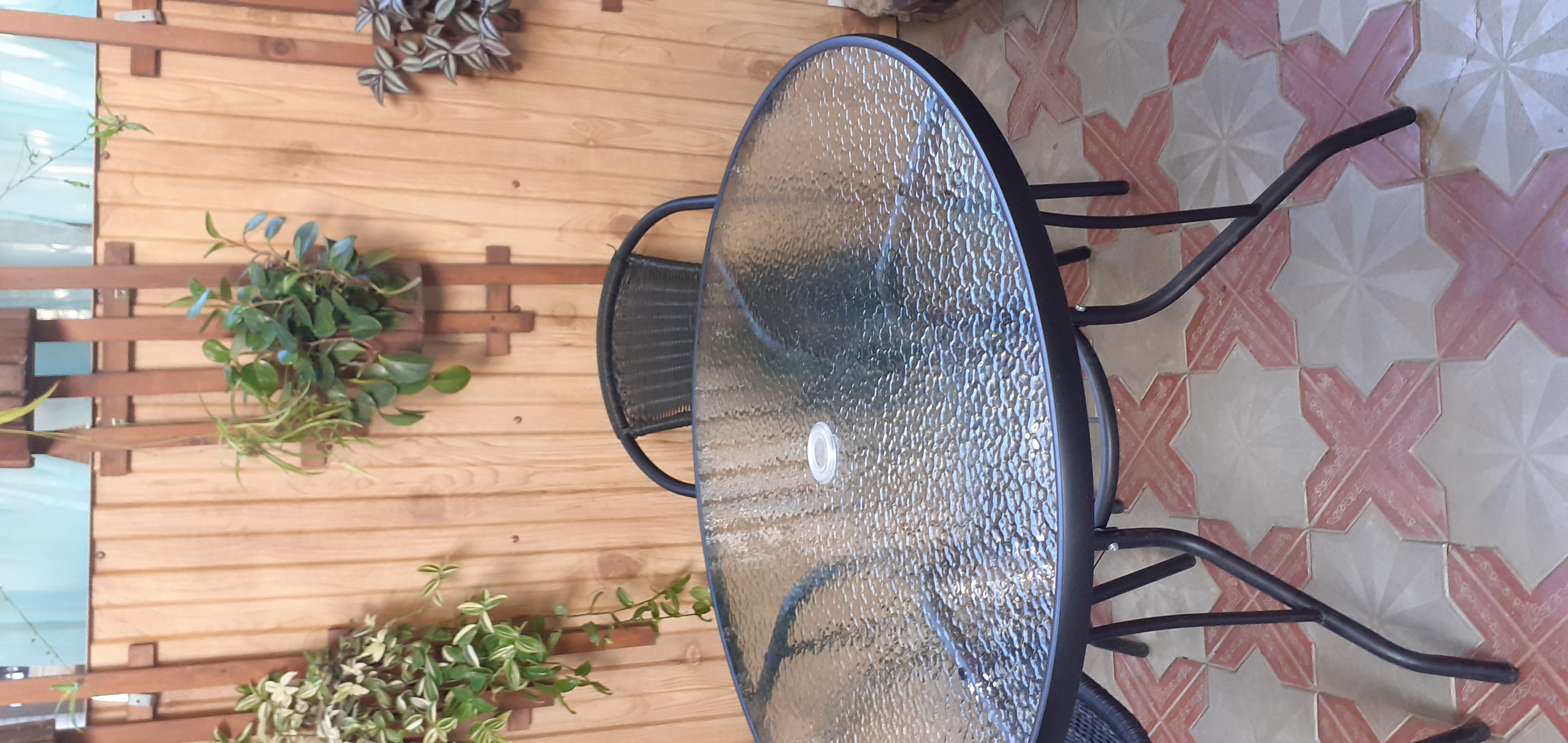 Фото Березка