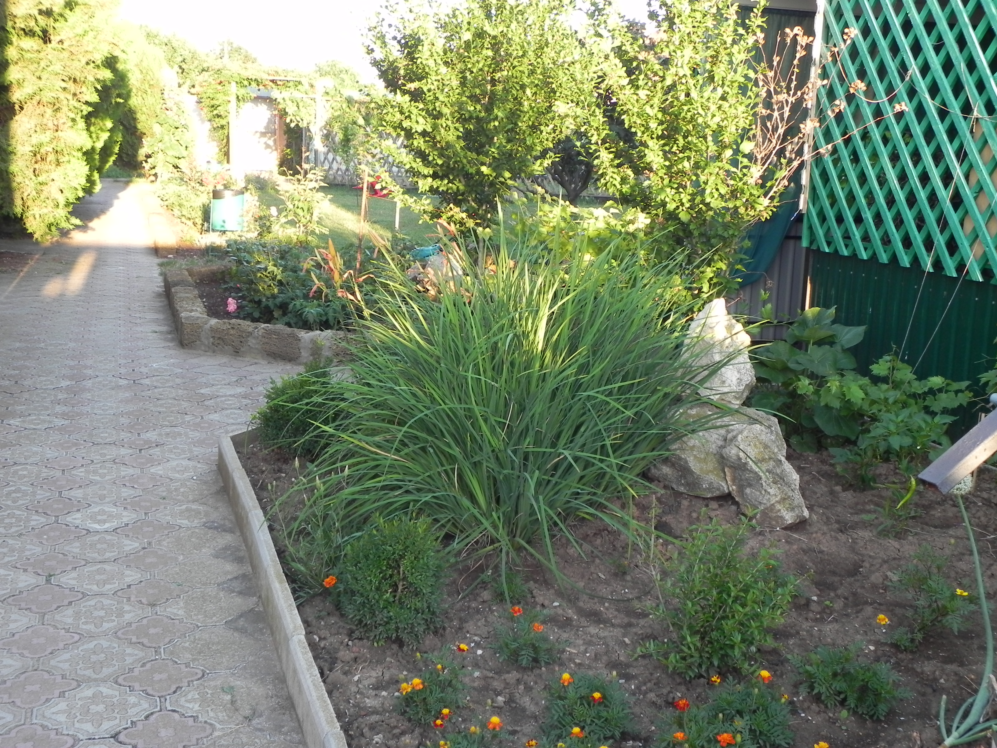 Фото Фанни Вероника