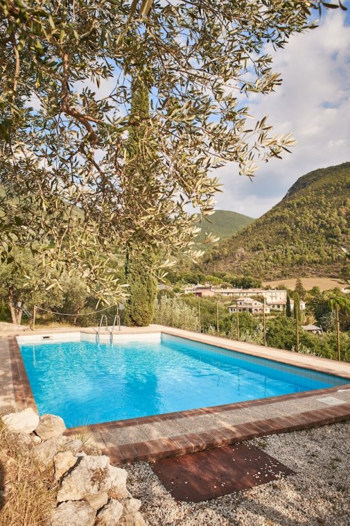 Фото Agriturismo L'Ulivo