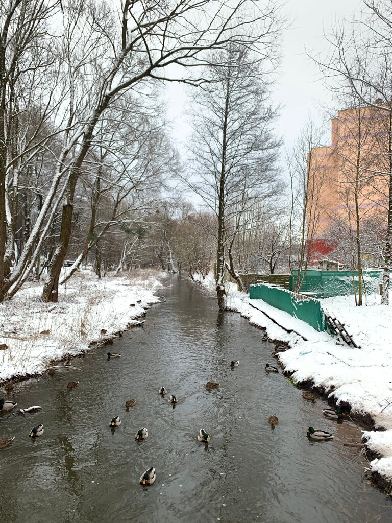 Housing complex Калина-парк, Kaliningrad, photo