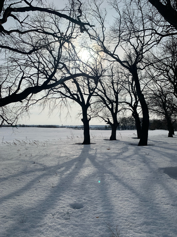 Фото Усадьба МаЛина