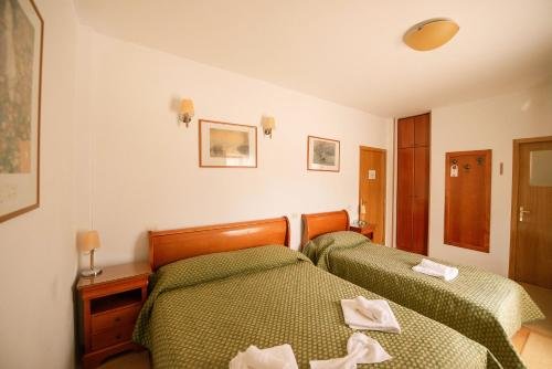 Фото Pensiunea Carinthia