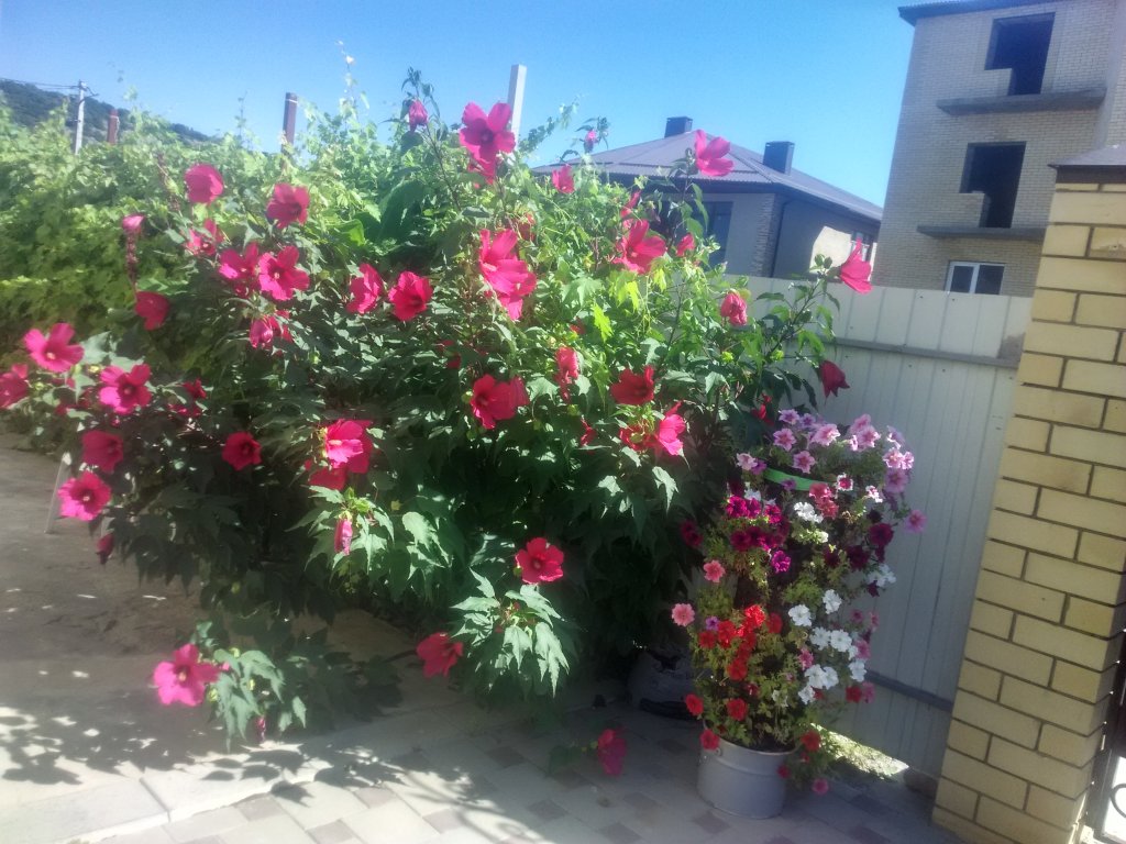 Фото Антипов