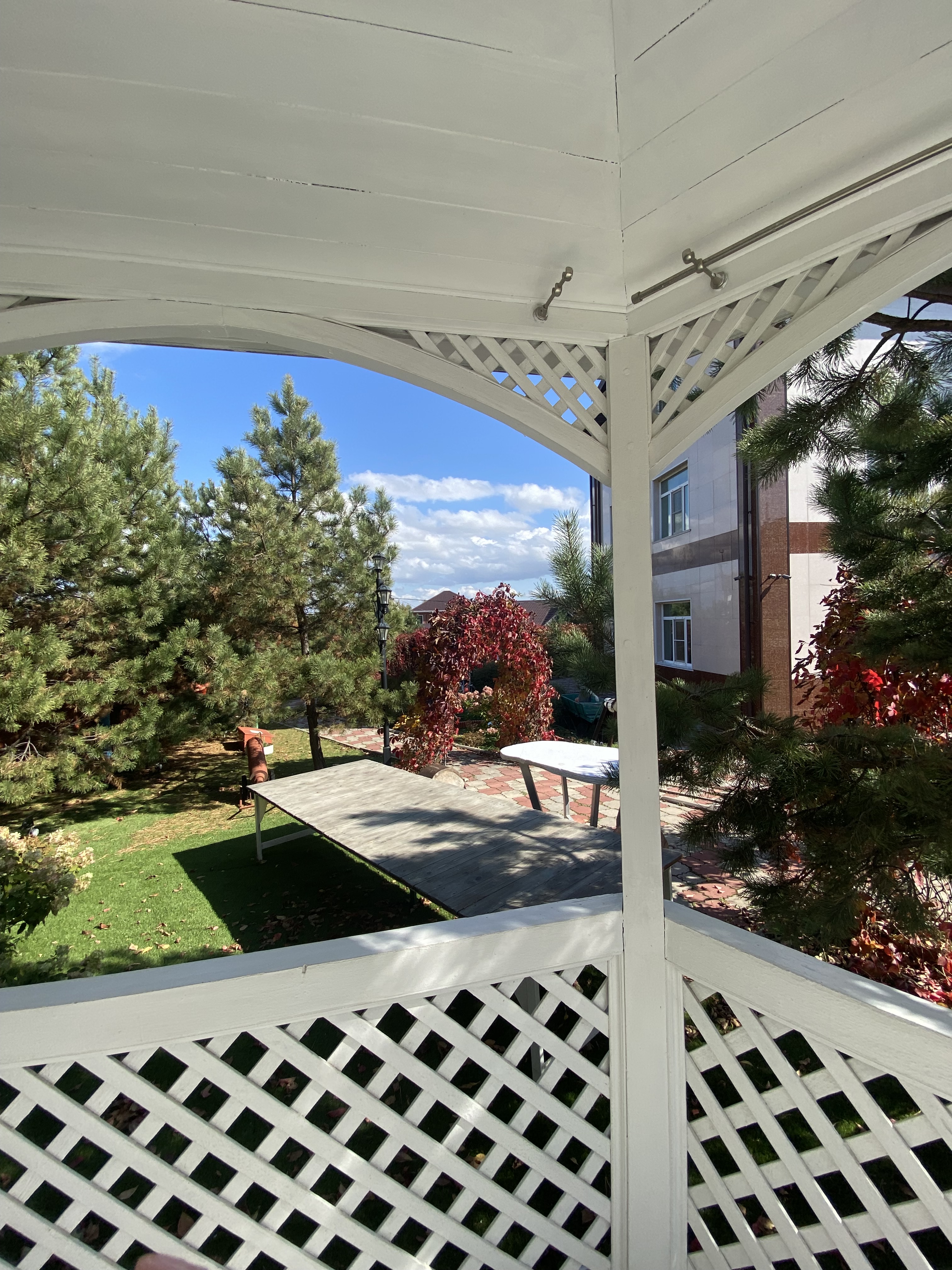 Фото Сокольники