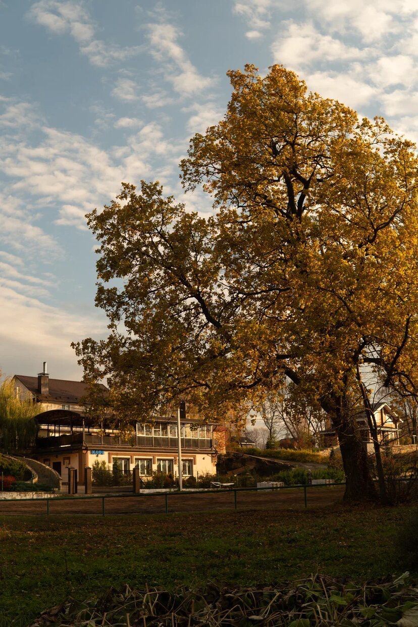 Фото Надежда