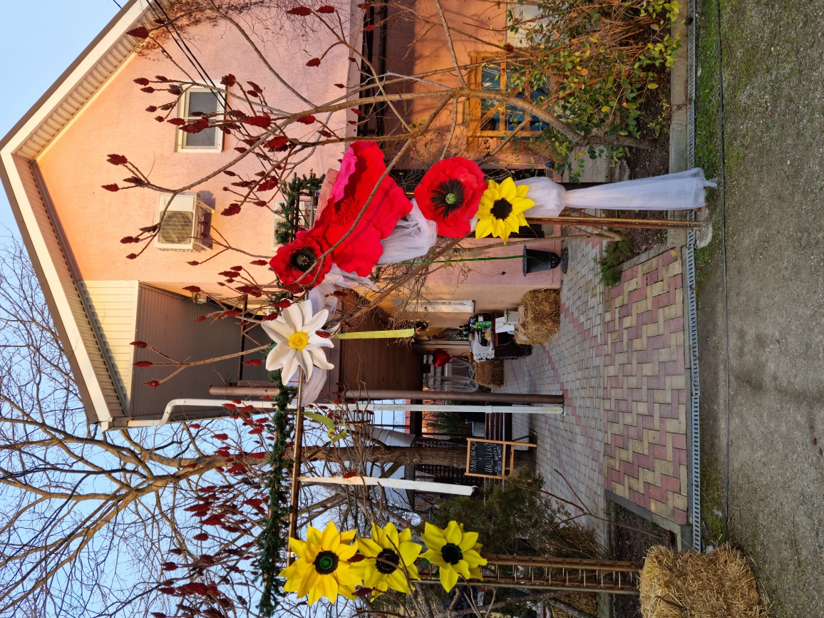 Фото Курочка Ряба