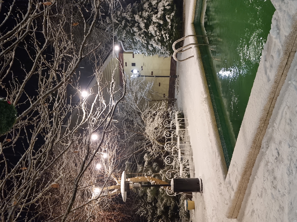 Фото Курочка Ряба