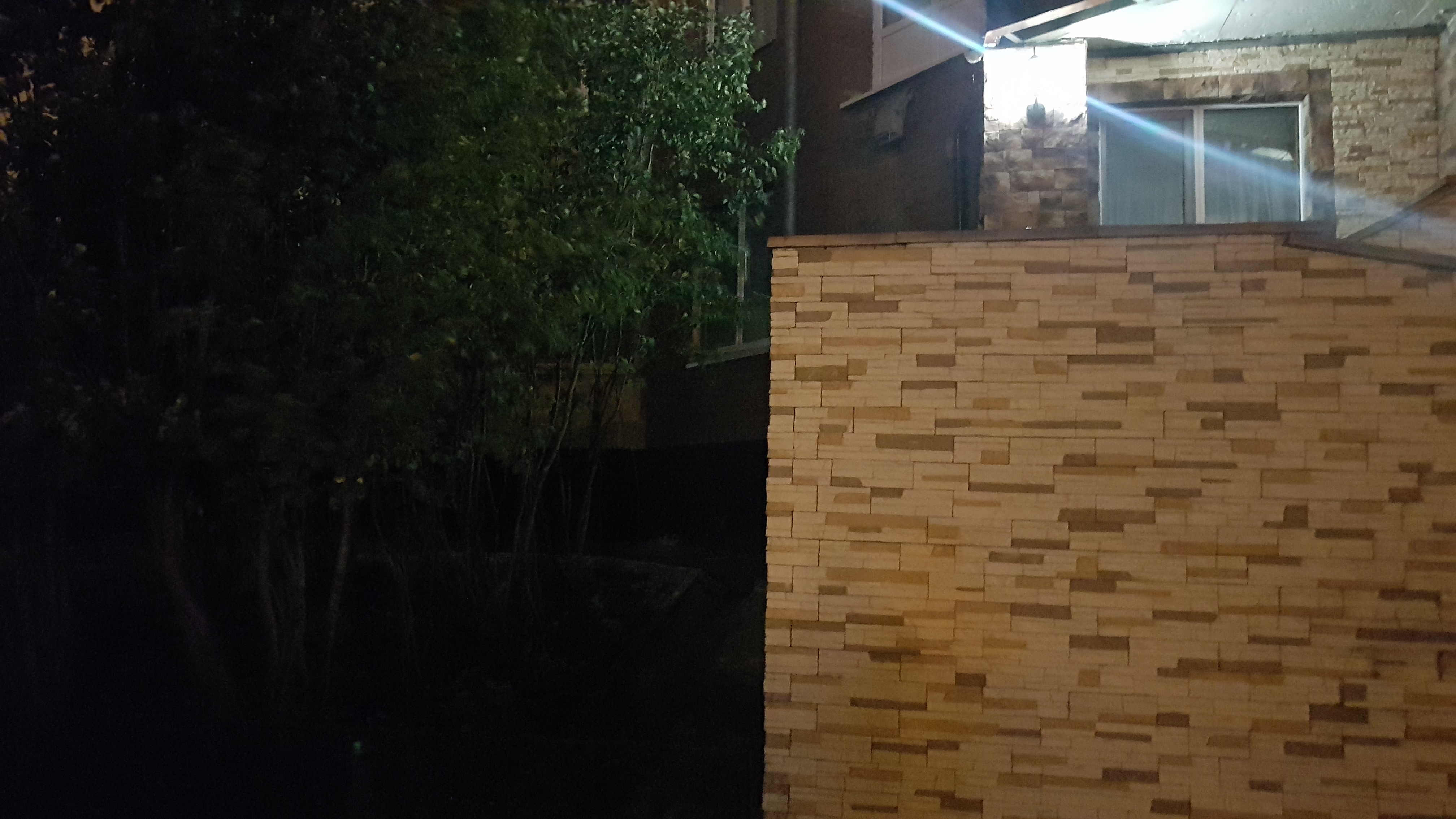 Фото Максимъ