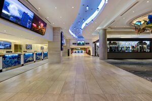 Гостиница Embassy Suites by Hilton Niagara Falls - Fallsview Hotel
