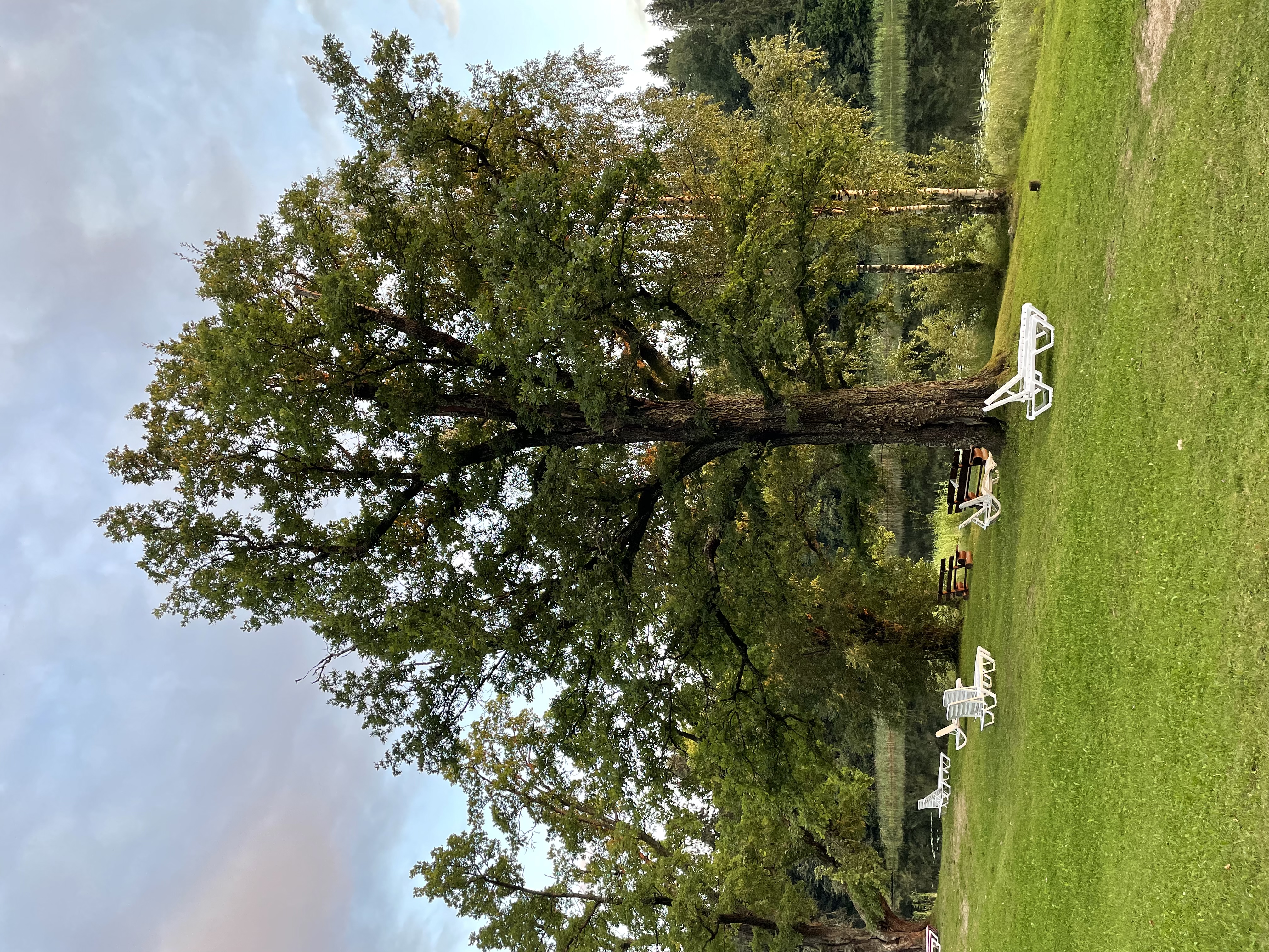 Фото Селигер Палас