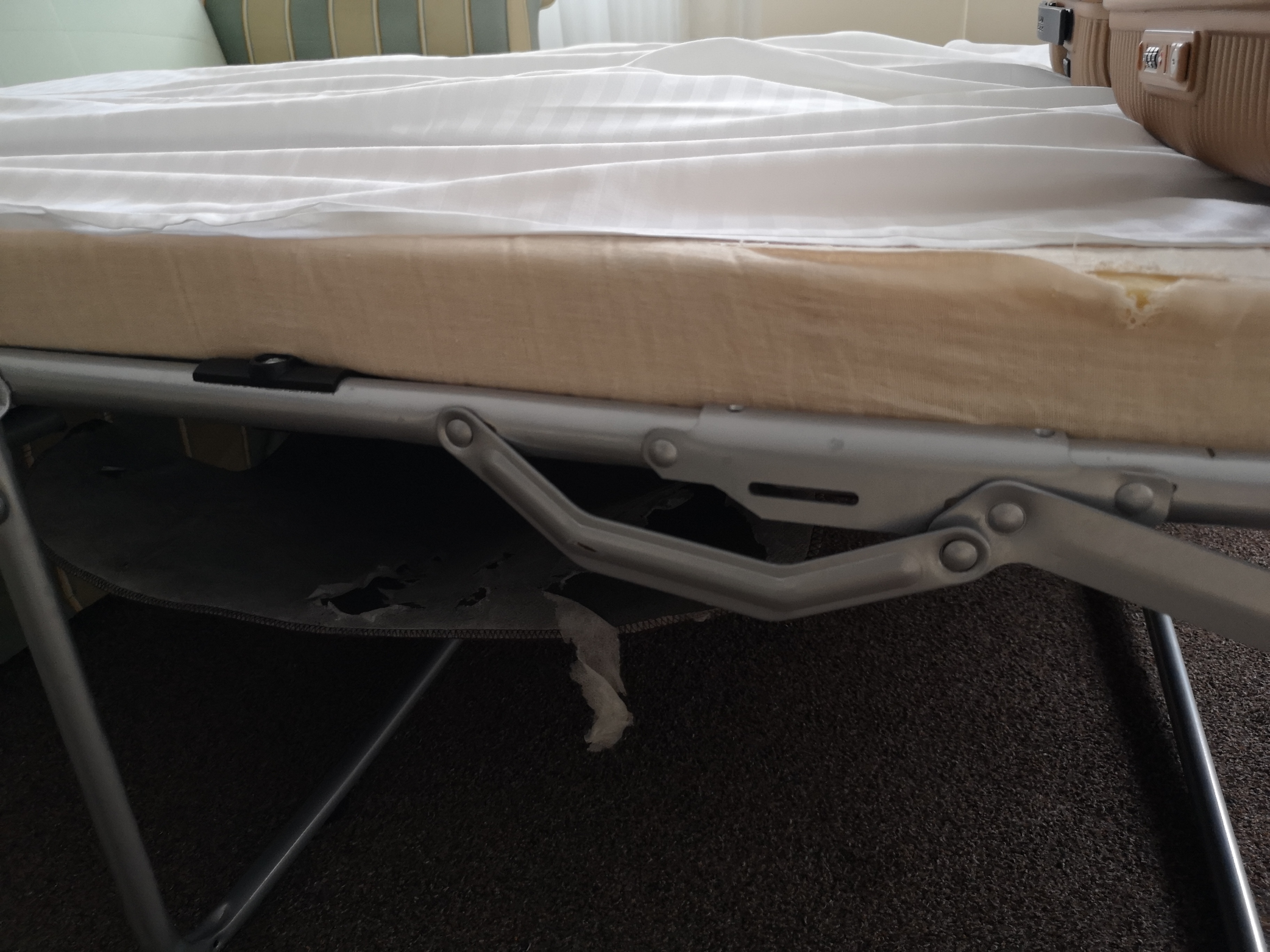 Фото Логер Хаус