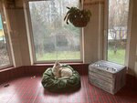 Uyut (derevnya Vysokovo, Zheleznodorozhnaya ulitsa, 34), pet hotel