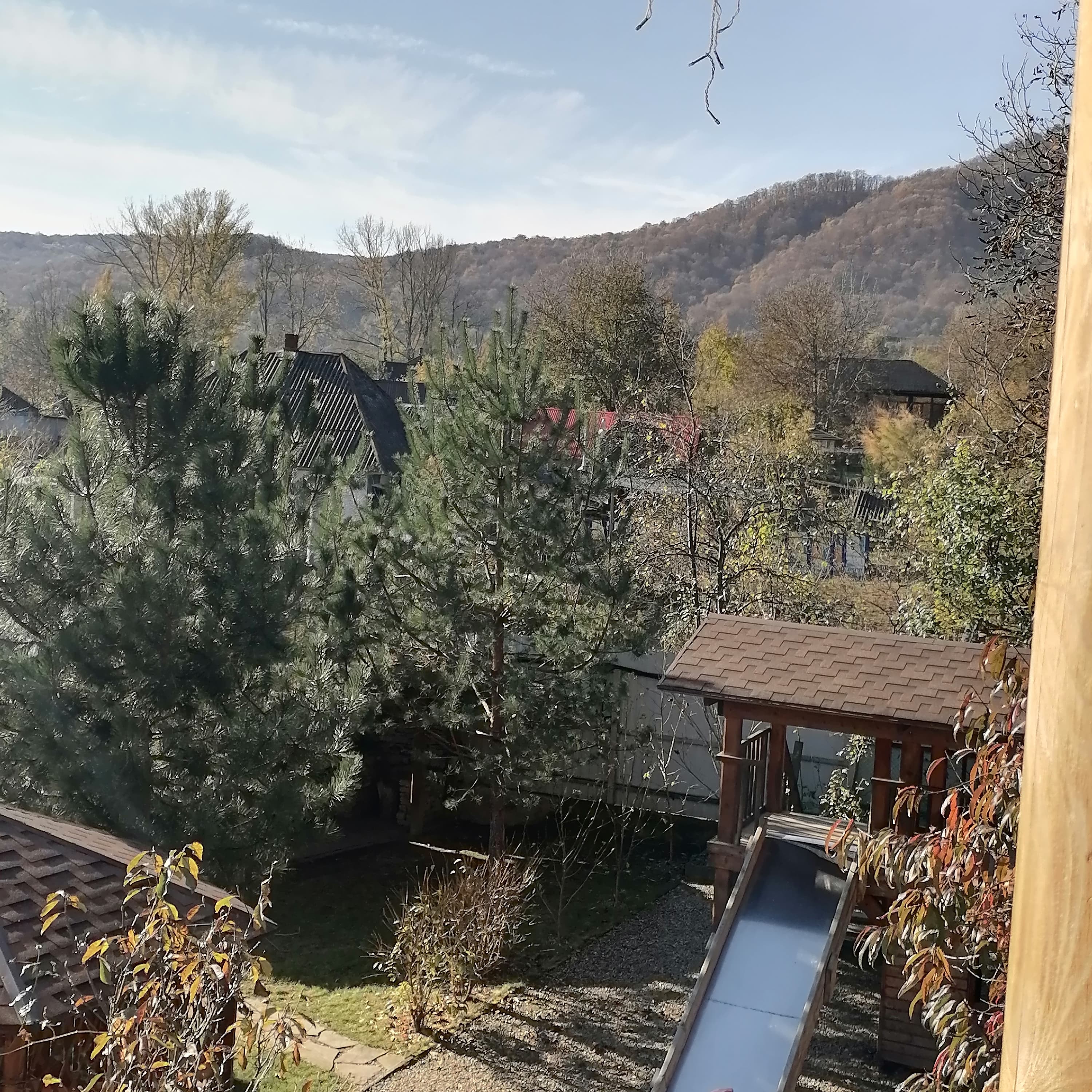 Фото Рябиновые бусы