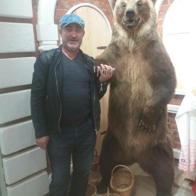 Фото Артис Плаза