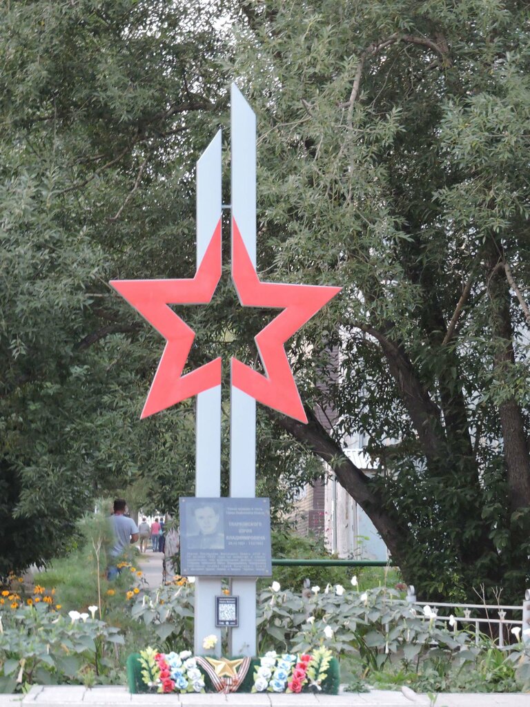 Стелла звезда