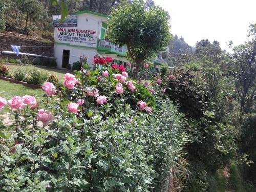 Фото StayApart - Maa Anadmayee Guest House