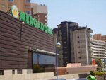 Benidorm Apartamentos Michelangelo