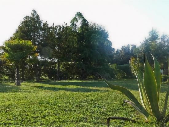 Фото Agriturismo Agave