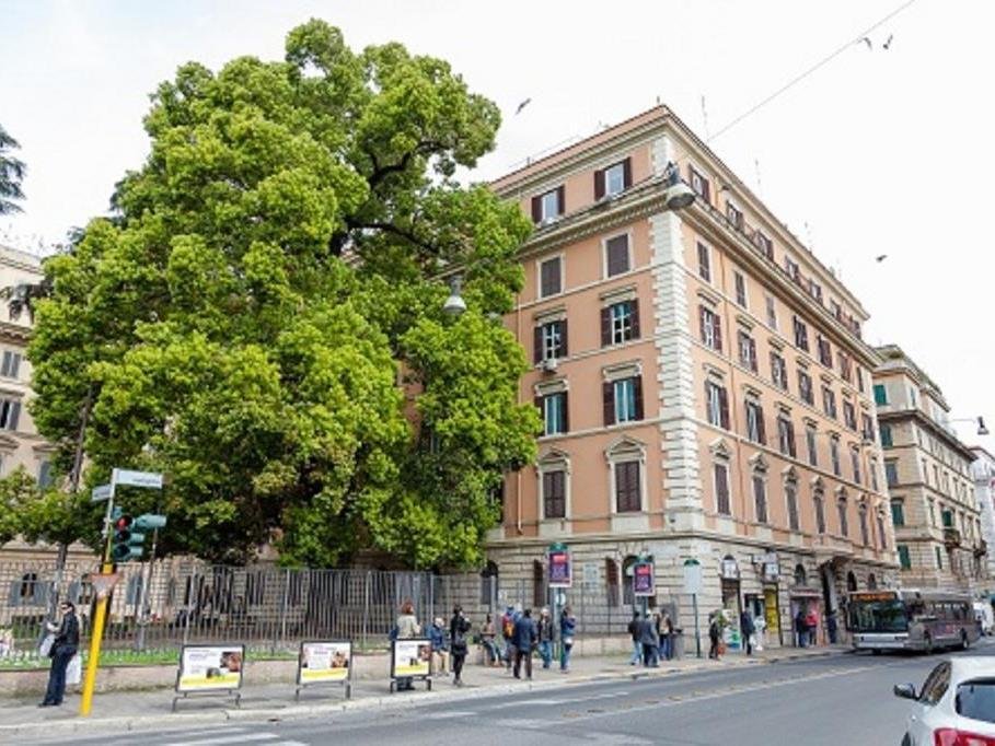 Фото AmoRoma Suite