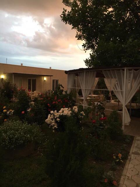 Фото VillaPetra