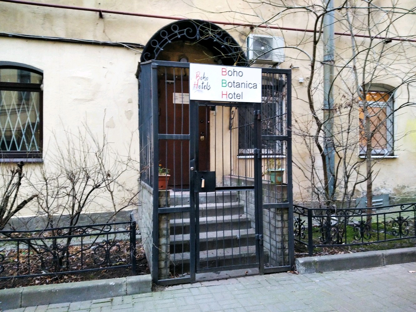 Фото Boho Botanica