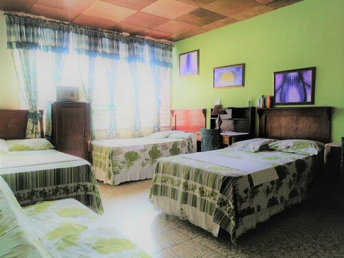 Гостиница Hotel Oasis