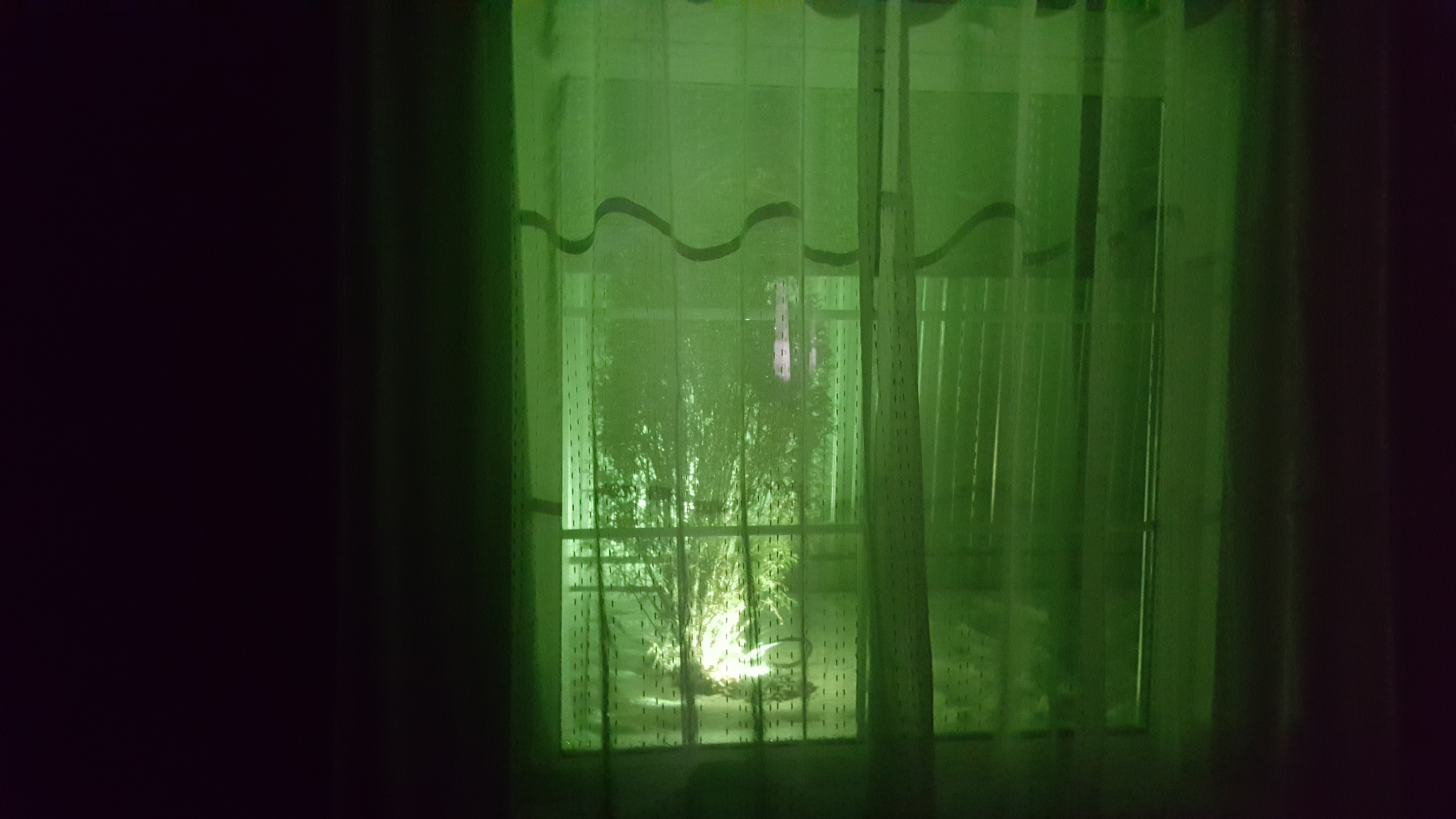 Фото Zvezda Village