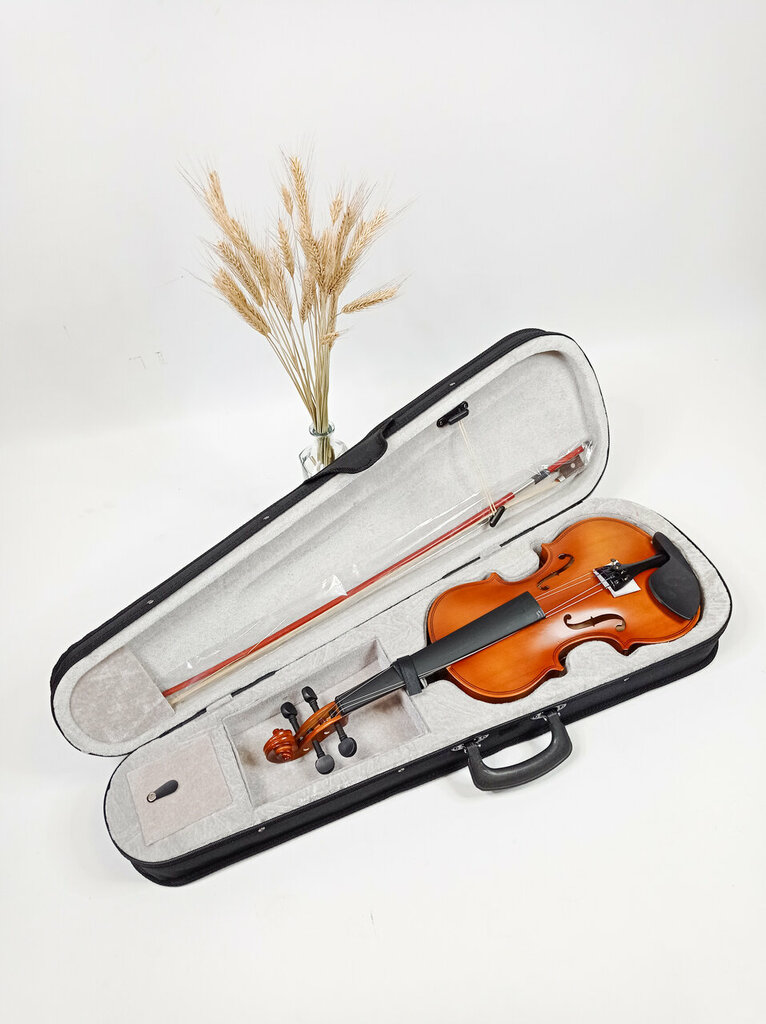 Tienda de música Магазин МУЗ. товаров - Sarguitar, , foto