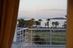 Urla Zeytin